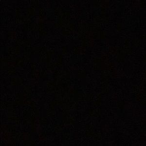 Meet your Posher, Maggie